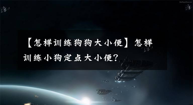 【怎样训练狗狗大小便】怎样训练小狗定点大小便？