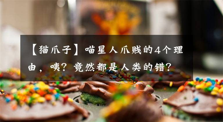 【猫爪子】喵星人爪贱的4个理由，咦？竟然都是人类的错？