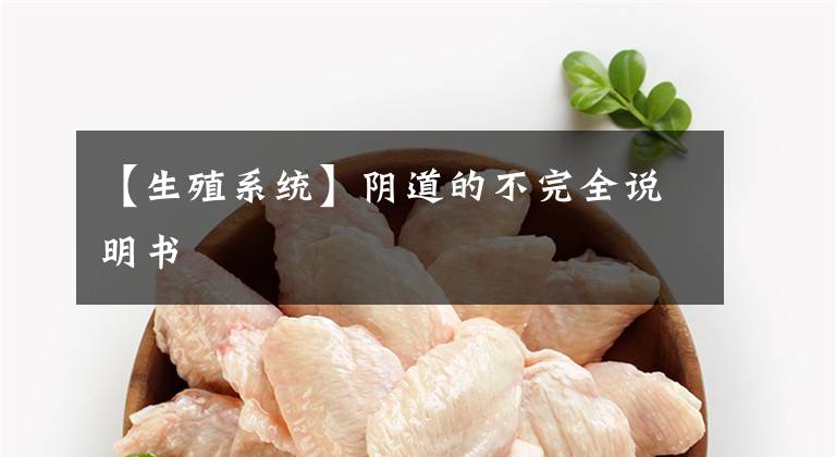 【生殖系统】阴道的不完全说明书