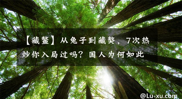 【藏鳌】从兔子到藏獒，7次热炒你入局过吗？国人为何如此热衷击鼓传花？