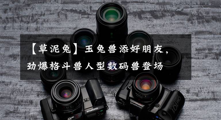【草泥兔】玉兔兽添好朋友，劲爆格斗兽人型数码兽登场