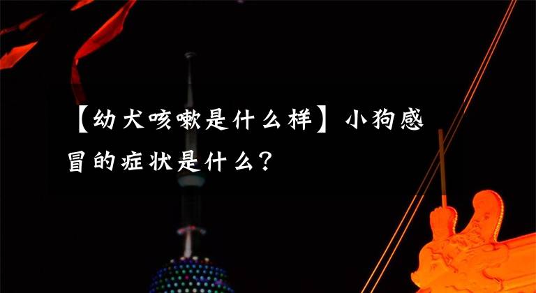 【幼犬咳嗽是什么样】小狗感冒的症状是什么？