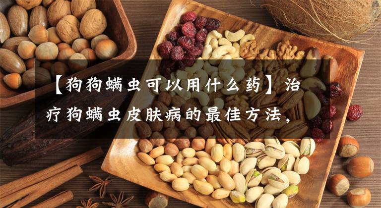 【狗狗螨虫可以用什么药】治疗狗螨虫皮肤病的最佳方法，狗螨虫皮肤病用什么药？