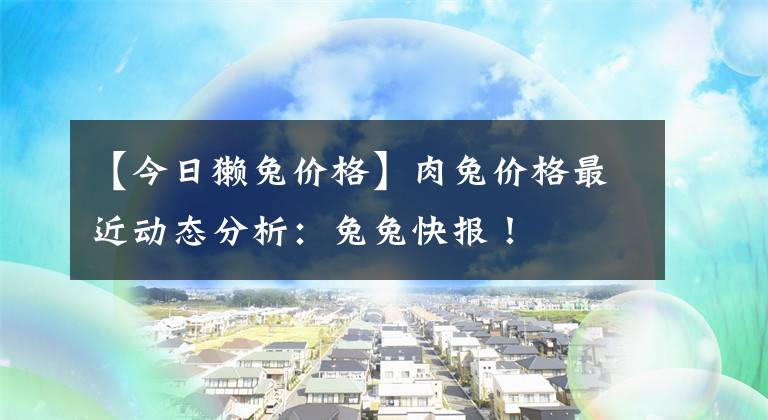 【今日獭兔价格】肉兔价格最近动态分析：兔兔快报！