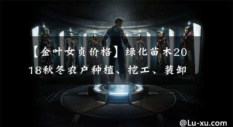 【金叶女贞价格】绿化苗木2018秋冬农户种植、挖工、装卸参考实用价格