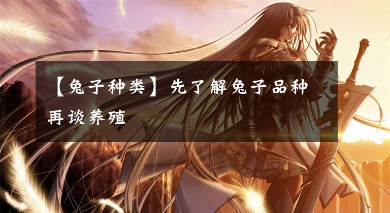 【兔子种类】先了解兔子品种再谈养殖