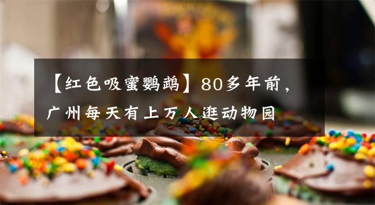 【红色吸蜜鹦鹉】80多年前，广州每天有上万人逛动物园