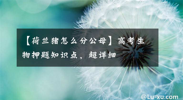 【荷兰猪怎么分公母】高考生物押题知识点，超详细