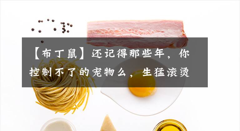 【布丁鼠】还记得那些年，你控制不了的宠物么，生猛滚烫啊