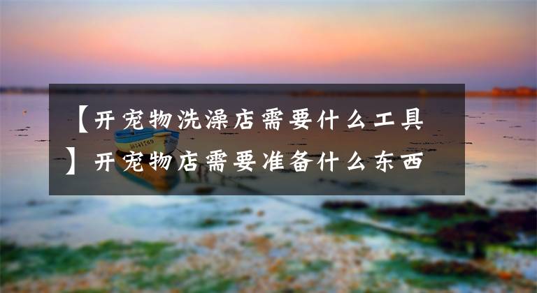 【开宠物洗澡店需要什么工具】开宠物店需要准备什么东西？