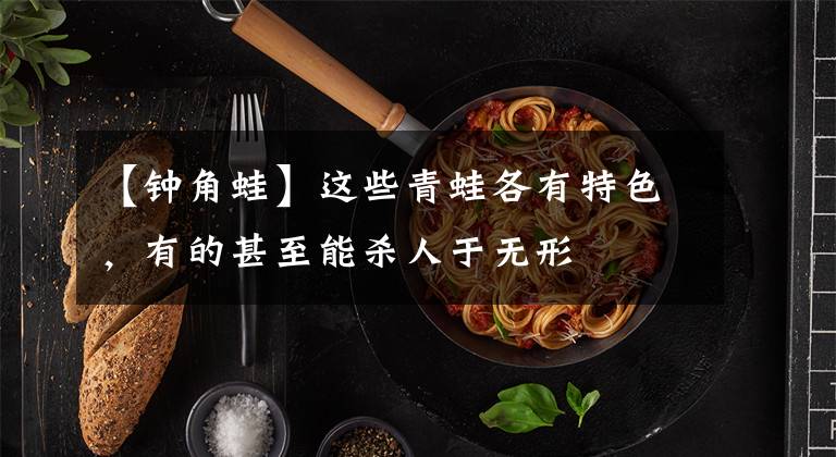 【钟角蛙】这些青蛙各有特色，有的甚至能杀人于无形