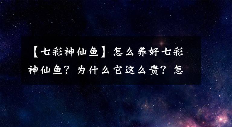 【七彩神仙鱼】怎么养好七彩神仙鱼？为什么它这么贵？怎么挑选七彩神仙鱼