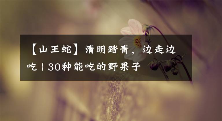 【山王蛇】清明踏青，边走边吃 | 30种能吃的野果子