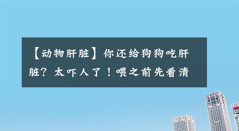 【动物肝脏】你还给狗狗吃肝脏？太吓人了！喂之前先看清楚，是爱它还是害它吧