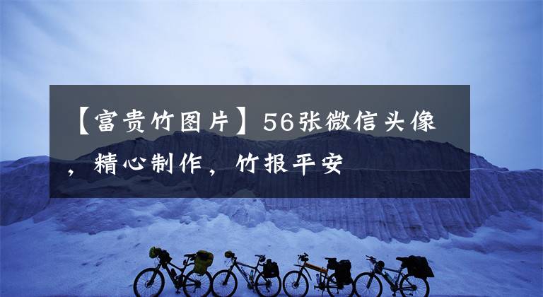 【富贵竹图片】56张微信头像，精心制作，竹报平安