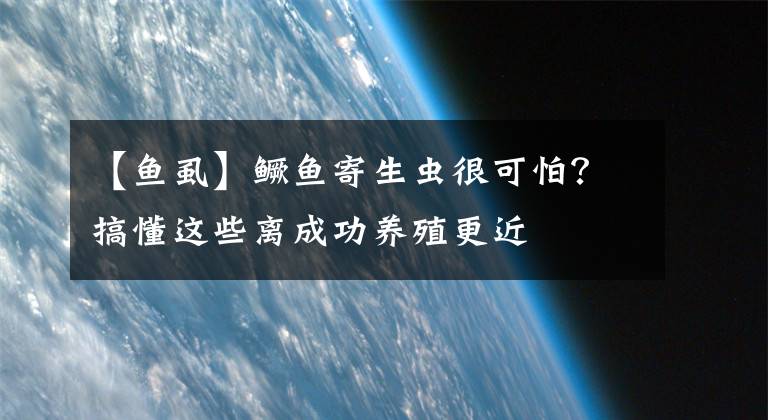 【鱼虱】鳜鱼寄生虫很可怕？搞懂这些离成功养殖更近
