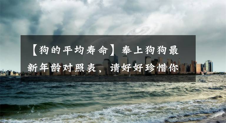 【狗的平均寿命】奉上狗狗最新年龄对照表，请好好珍惜你家狗