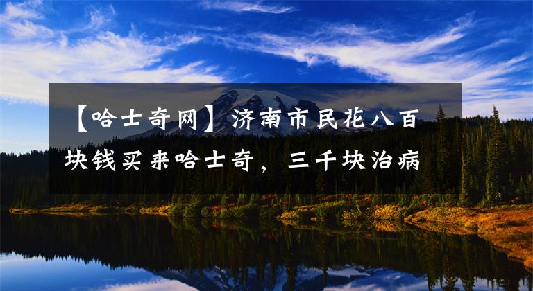 【哈士奇网】济南市民花八百块钱买来哈士奇，三千块治病却死了