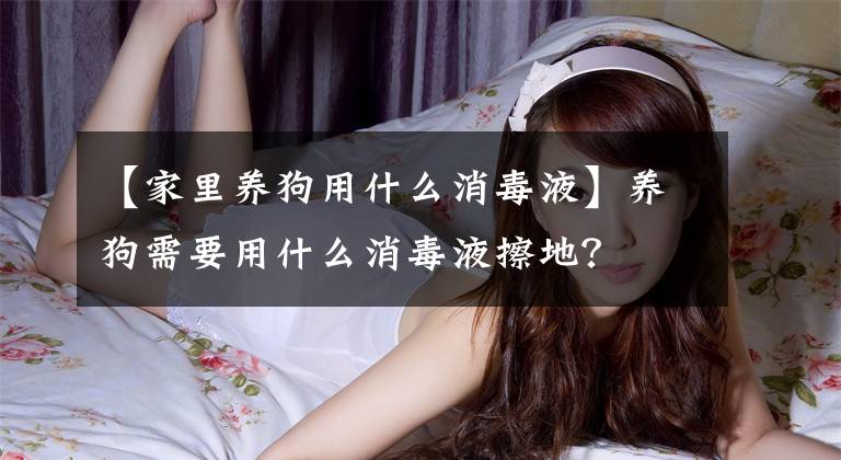 【家里养狗用什么消毒液】养狗需要用什么消毒液擦地？
