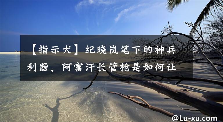 【指示犬】纪晓岚笔下的神兵利器，阿富汗长管枪是如何让英国人吃瘪的？