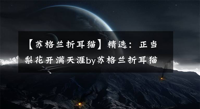 【苏格兰折耳猫】精选：正当梨花开满天涯by苏格兰折耳猫，女兵vs军官，高干，军旅