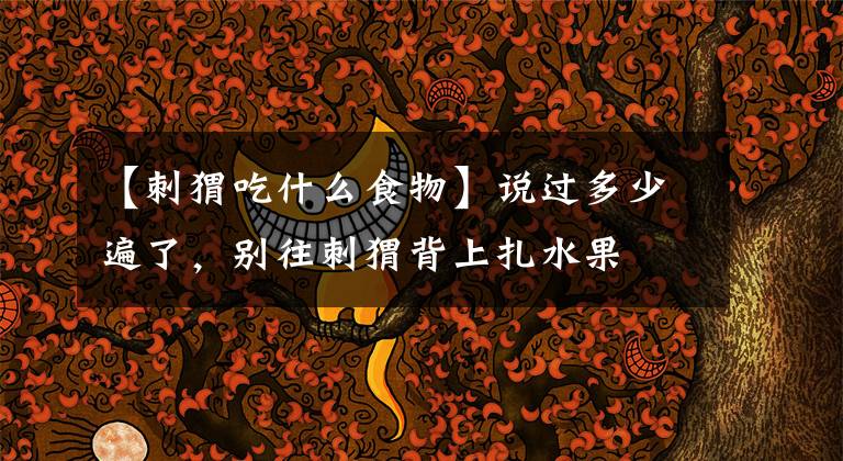 【刺猬吃什么食物】说过多少遍了，别往刺猬背上扎水果