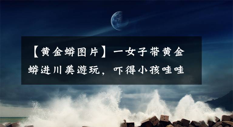 【黄金蟒图片】一女子带黄金蟒进川美游玩，吓得小孩哇哇大叫