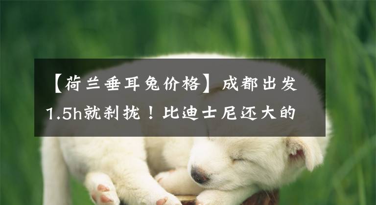 【荷兰垂耳兔价格】成都出发1.5h就刹拢！比迪士尼还大的亲子乐园，还能和萌宠接触！