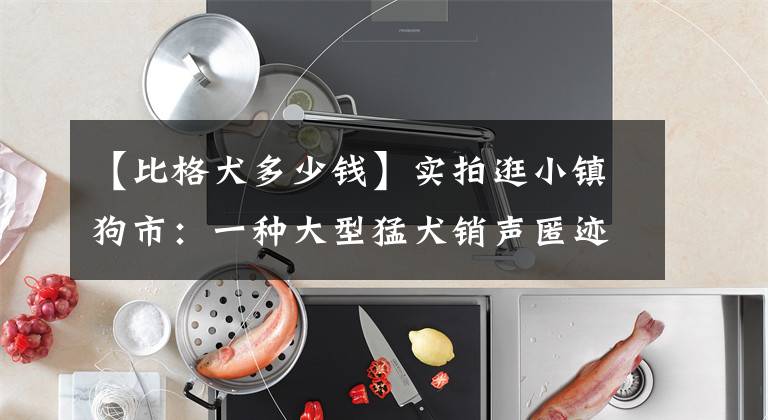 【比格犬多少钱】实拍逛小镇狗市：一种大型猛犬销声匿迹后又出现，狗娃200元