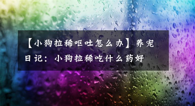 【小狗拉稀呕吐怎么办】养宠日记：小狗拉稀吃什么药好