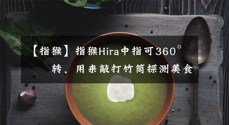 【指猴】指猴Hira中指可360°旋转，用来敲打竹筒探测美食