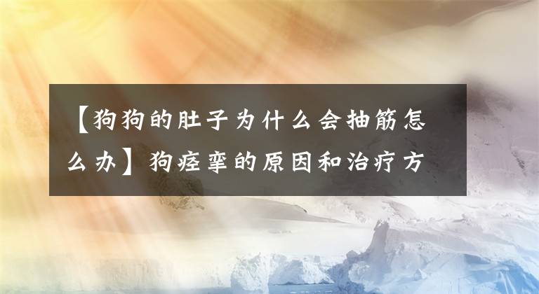 【狗狗的肚子为什么会抽筋怎么办】狗痉挛的原因和治疗方法是什么？