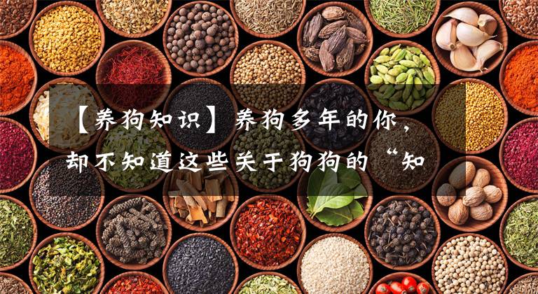 【养狗知识】养狗多年的你，却不知道这些关于狗狗的“知识”？