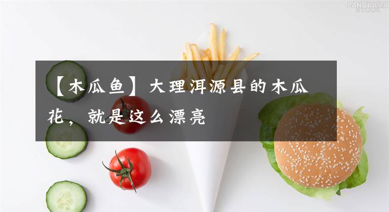 【木瓜鱼】大理洱源县的木瓜花，就是这么漂亮