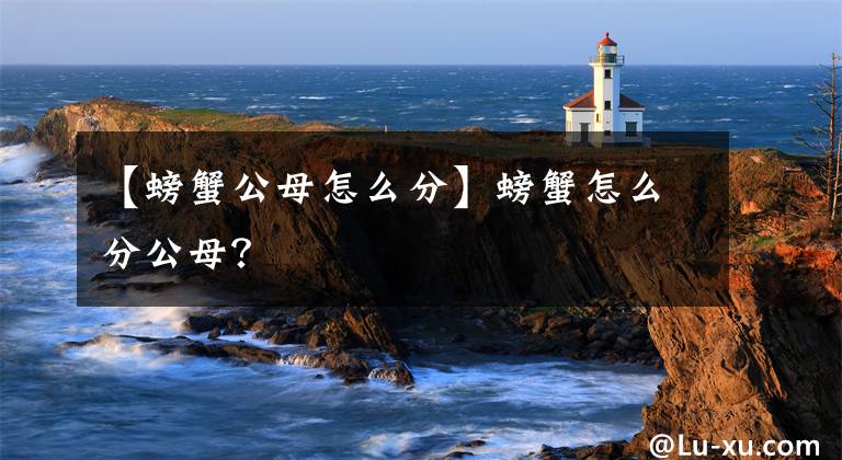 【螃蟹公母怎么分】螃蟹怎么分公母？