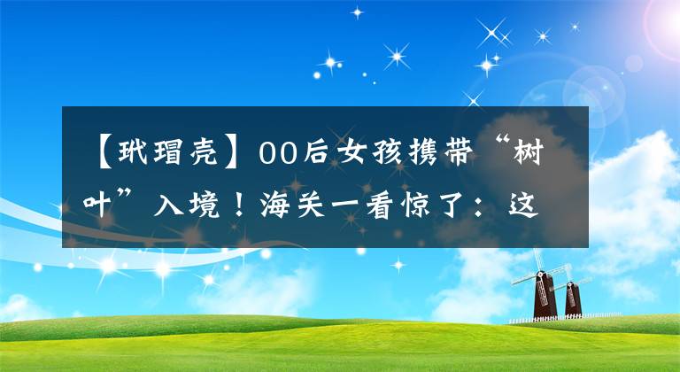 【玳瑁壳】00后女孩携带“树叶”入境！海关一看惊了：这东西不简单