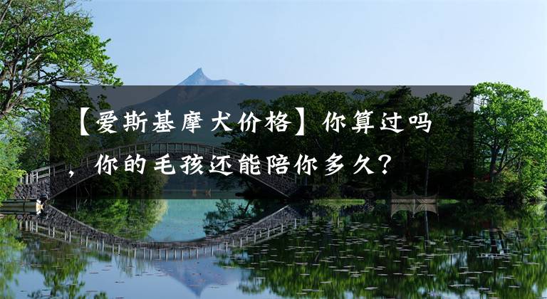 【爱斯基摩犬价格】你算过吗，你的毛孩还能陪你多久？