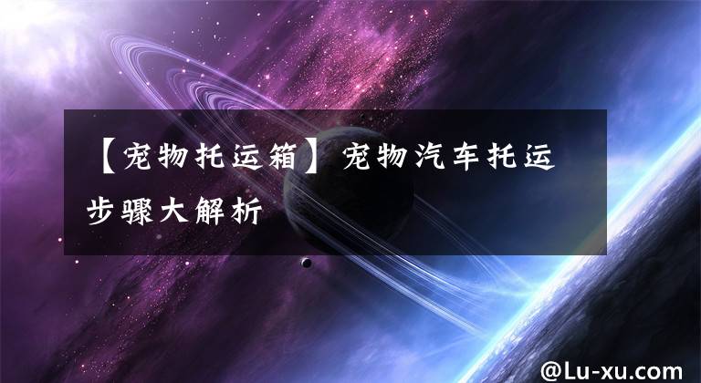 【宠物托运箱】宠物汽车托运步骤大解析