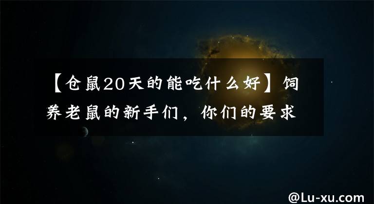 【仓鼠20天的能吃什么好】饲养老鼠的新手们，你们的要求来了。