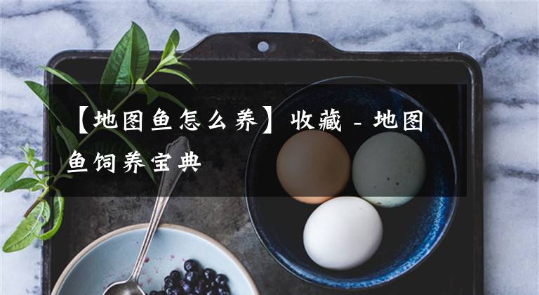 【地图鱼怎么养】收藏 - 地图鱼饲养宝典