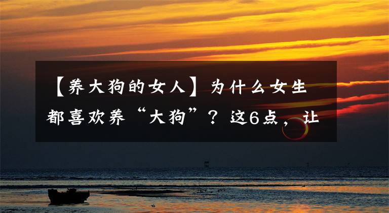 【养大狗的女人】为什么女生都喜欢养“大狗”？这6点，让人无法抗拒