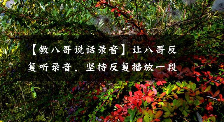 【教八哥说话录音】让八哥反复听录音，坚持反复播放一段时间，八哥自然会开口说话了