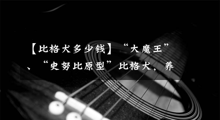 【比格犬多少钱】“大魔王”、“史努比原型”比格犬，养之前，要想清楚