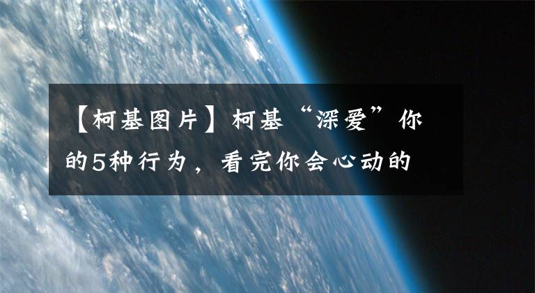 【柯基图片】柯基“深爱”你的5种行为，看完你会心动的