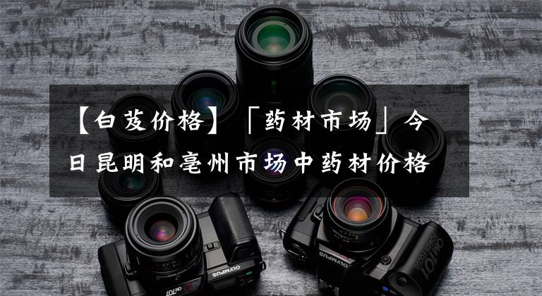 【白芨价格】「药材市场」今日昆明和亳州市场中药材价格行情汇总 兰茂药材网