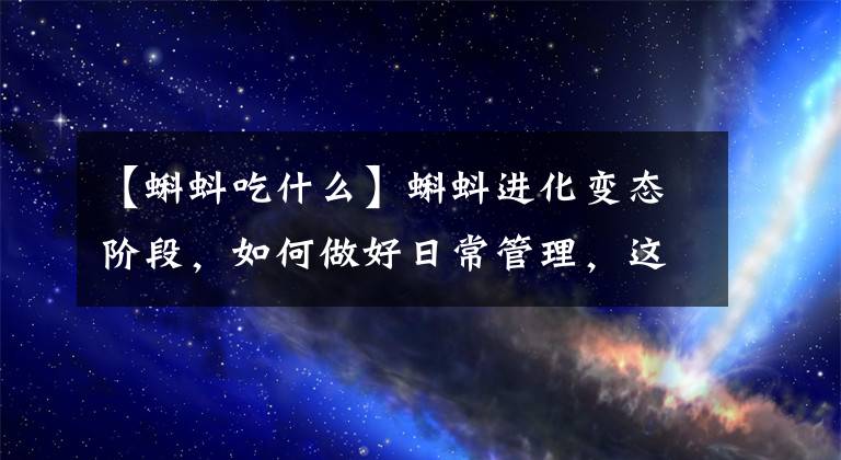 【蝌蚪吃什么】蝌蚪进化变态阶段，如何做好日常管理，这样做让它的成功率再提高