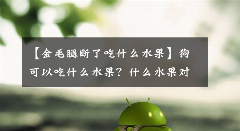 【金毛腿断了吃什么水果】狗可以吃什么水果？什么水果对狗安全