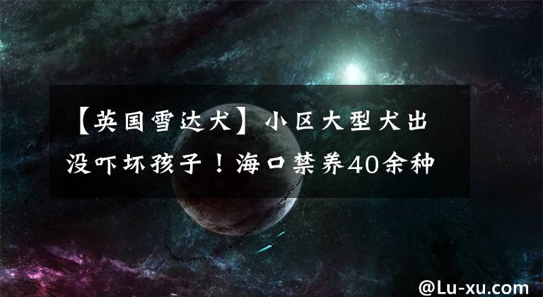 【英国雪达犬】小区大型犬出没吓坏孩子！海口禁养40余种烈性犬，品种有这些→