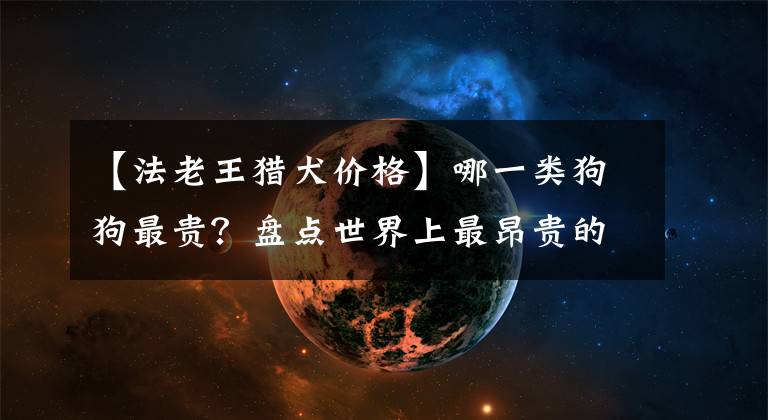 【法老王猎犬价格】哪一类狗狗最贵？盘点世界上最昂贵的10种狗狗