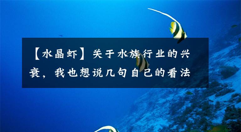【水晶虾】关于水族行业的兴衰，我也想说几句自己的看法